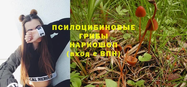 синтетический гашиш Богородицк