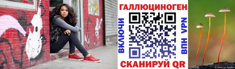 Галлюциногенные грибы Psilocybe  Купить  Стрежевой 